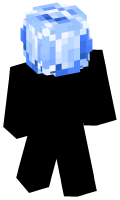 Skinfile