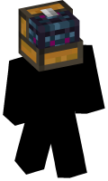Skinfile