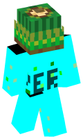 Skinfile