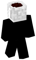 Skinfile