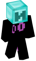 Skinfile
