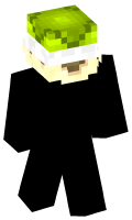 Skinfile