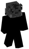 Skinfile