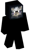 Skinfile