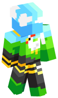 Skinfile