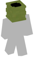 Skinfile