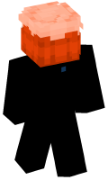 Skinfile