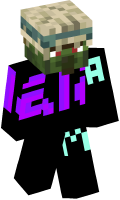 Skinfile
