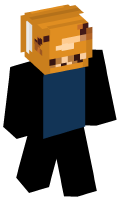 Skinfile