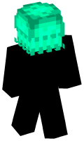 Skinfile