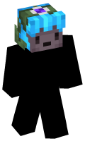 Skinfile