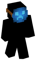 Skinfile