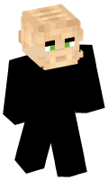 Skinfile