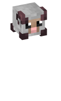 Skinfile