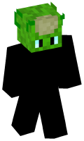 Skinfile