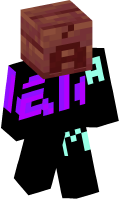 Skinfile