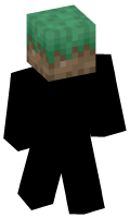 Skinfile