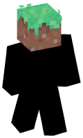 Skinfile