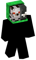 Skinfile