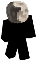 Skinfile