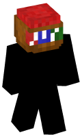 Skinfile