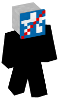 Skinfile
