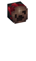 Skinfile