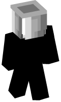 Skinfile
