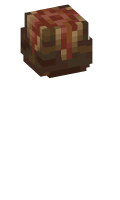 Skinfile