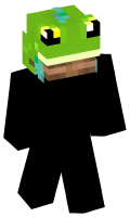 Skinfile