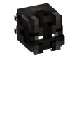 Skinfile