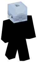 Skinfile