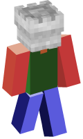 Skinfile