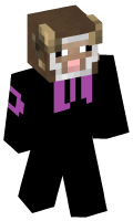Skinfile