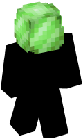 Skinfile