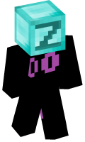 Skinfile