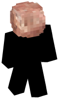 Skinfile