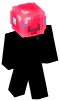 Skinfile