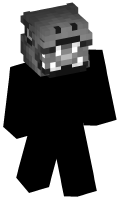 Skinfile