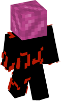 Skinfile