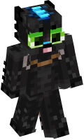 Skinfile