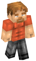 Skinfile