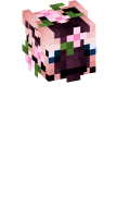 Skinfile