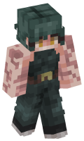 Skinfile