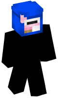 Skinfile