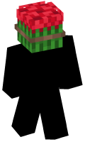 Skinfile