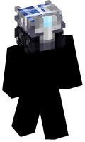Skinfile