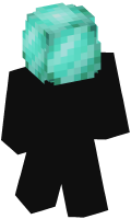 Skinfile