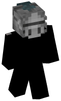 Skinfile