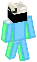 Skinfile